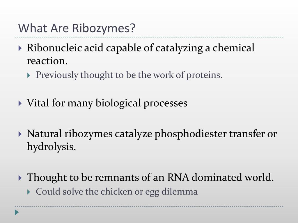 What are ribozymes discount